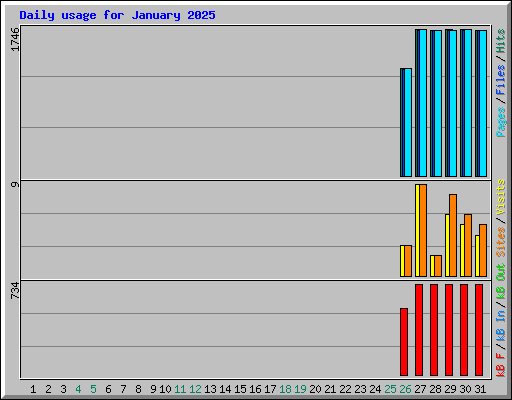 Daily usage for January 2025