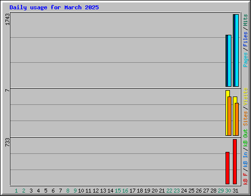 Daily usage for March 2025