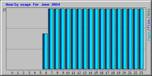 Hourly usage for June 2024
