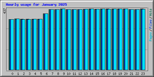 Hourly usage for January 2025
