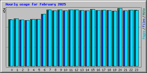 Hourly usage for February 2025