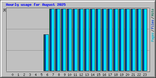 Hourly usage for August 2025