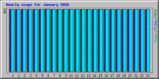 Hourly usage for January 2026